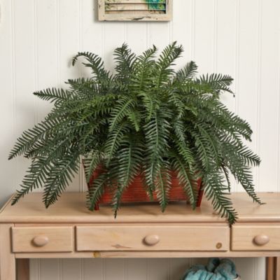 River Fern with Wood Planter