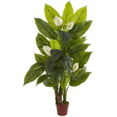 4.5-Foot Spathiphyllum Plant (Real Touch)