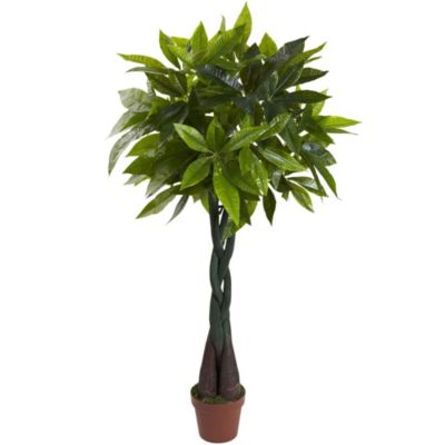 Nearly Natural 4-Foot Money Plant (Real Touch), Green