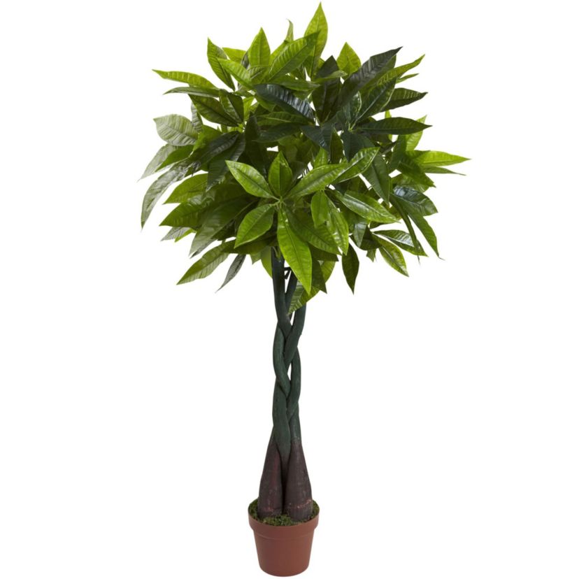 4-Foot Money Plant (Real Touch)