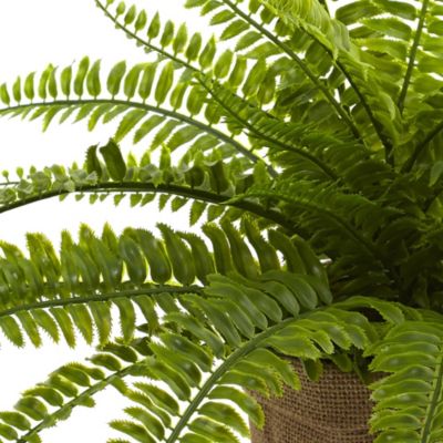 Boston Fern with Burlap Planter (Set of 2)