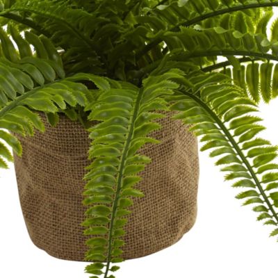 Boston Fern with Burlap Planter (Set of 2)