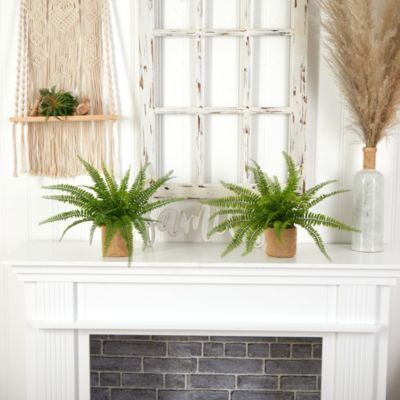 Boston Fern with Burlap Planter (Set of 2)