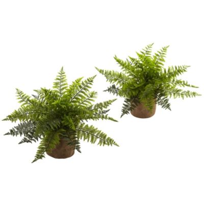 15-Inch Ruffle Fern Bush with Burlap Base (Set of 2)