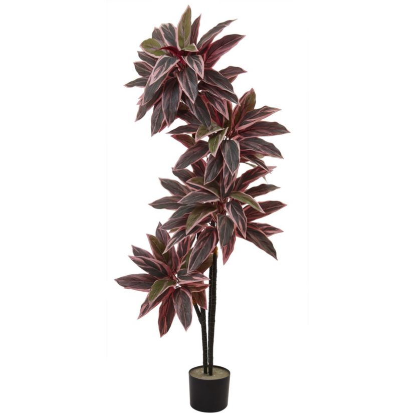 54-Inch Caladium Silk Plant