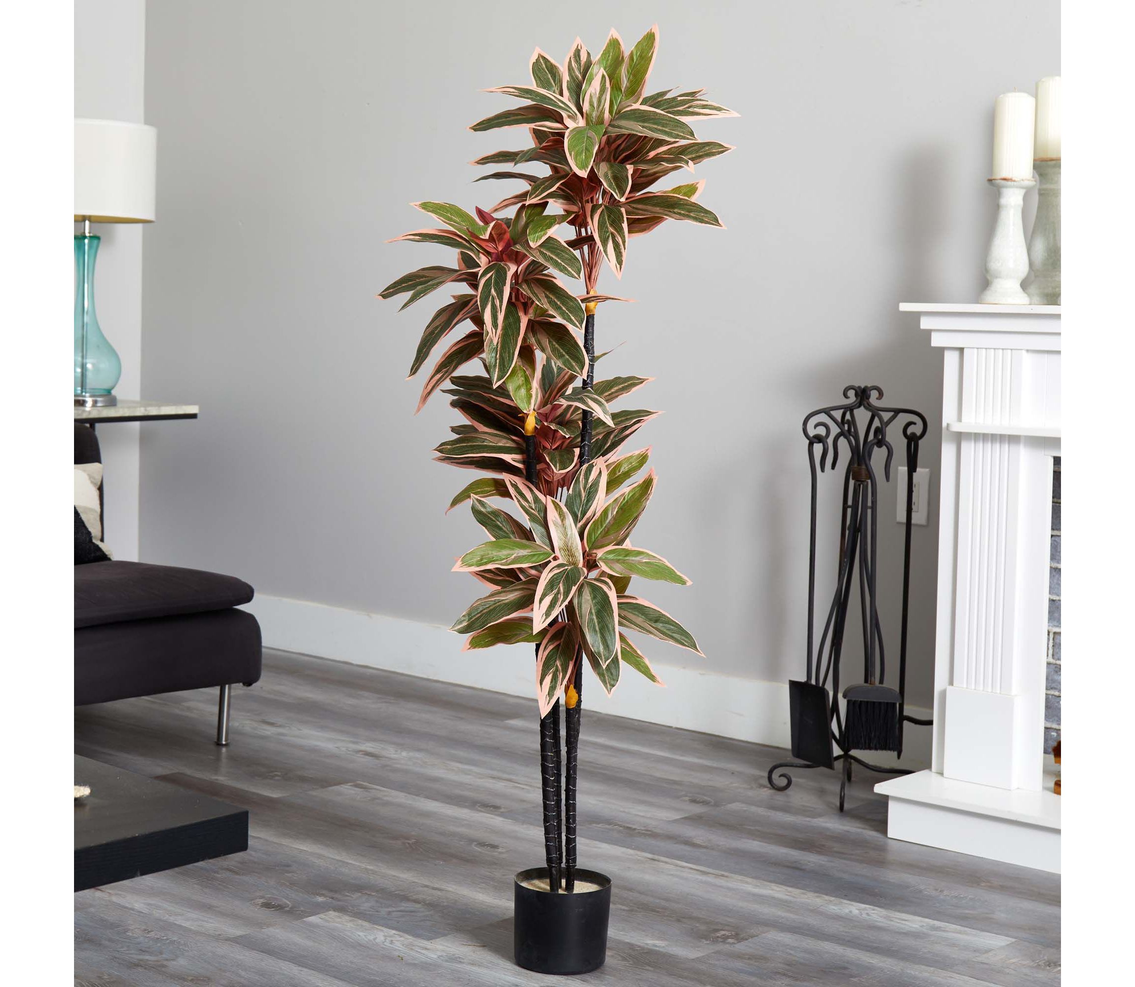 54-Inch Caladium Silk Plant