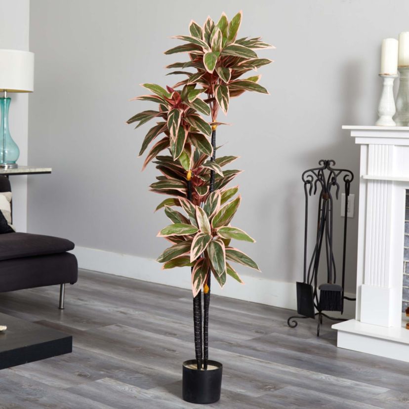 54-Inch Caladium Silk Plant