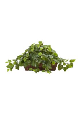 Nearly Natural Pothos with Ledge Basket, Green