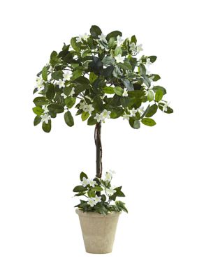 Nearly Natural Stephanotis Topiary with Planter, Green