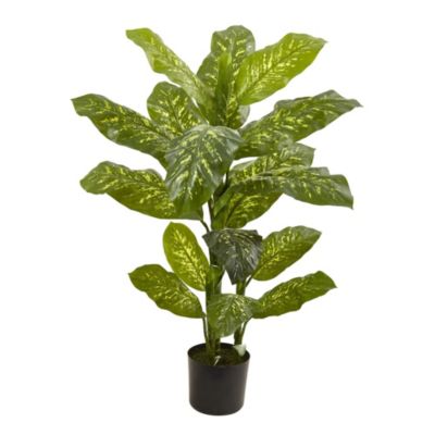 4-Foot Dieffenbachia Plant (Real Touch)