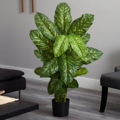 4-Foot Dieffenbachia Plant (Real Touch)