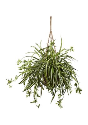 Nearly Natural Spider Plant Hanging Basket, Green