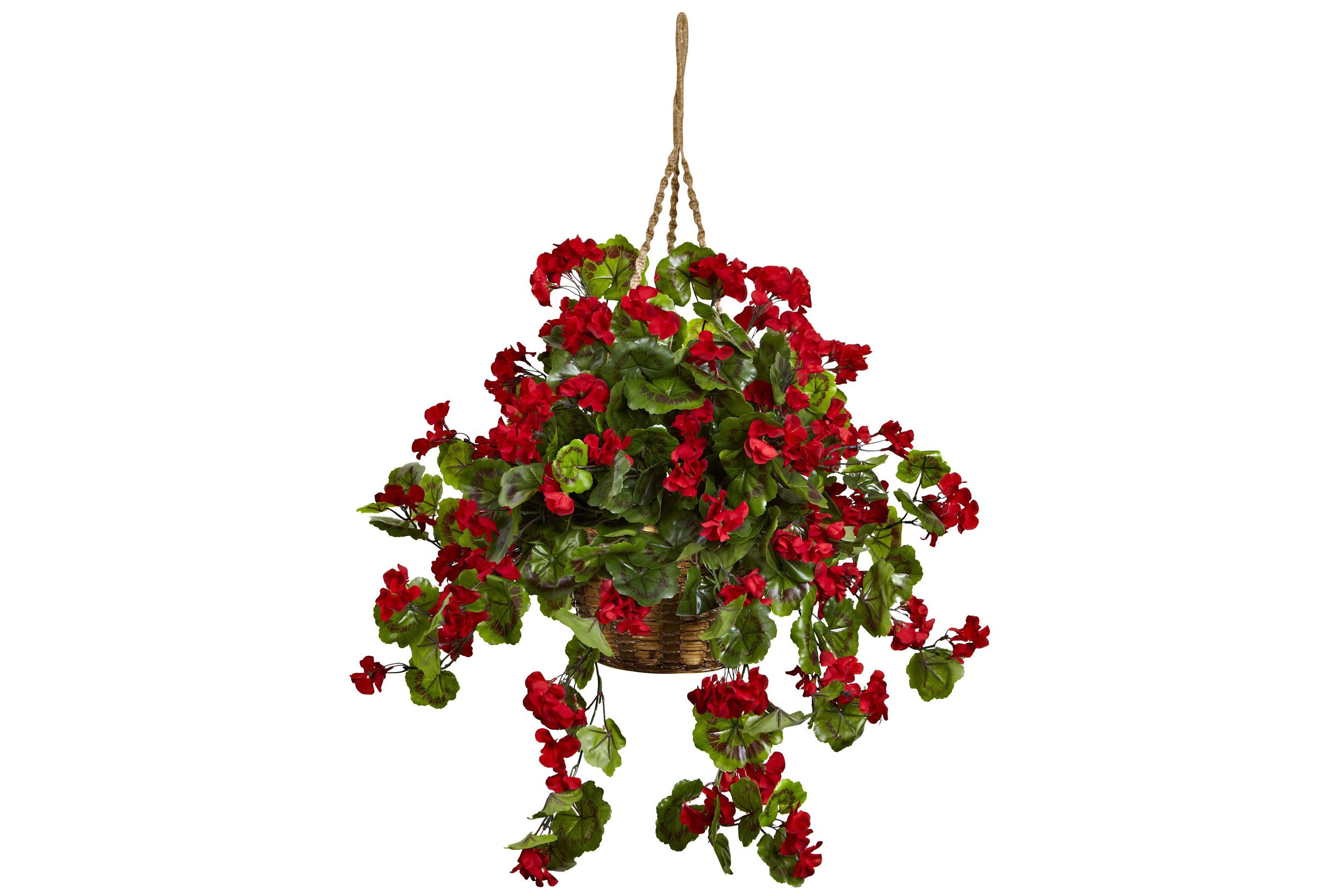 Geranium Hanging Basket UV Resistant (Indoor/Outdoor)