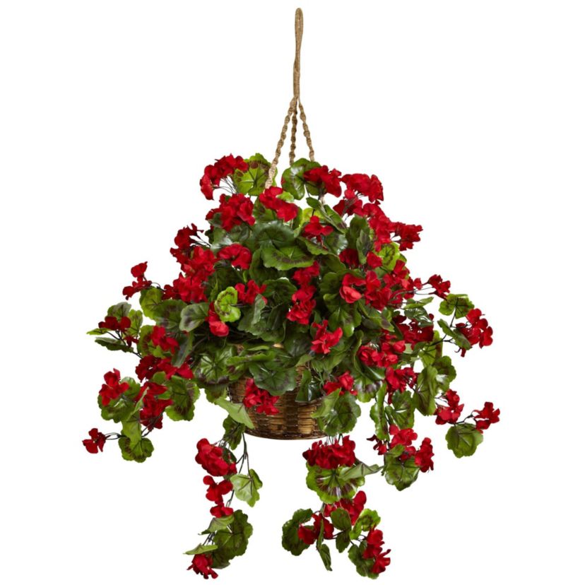 Geranium Hanging Basket UV Resistant (Indoor/Outdoor)