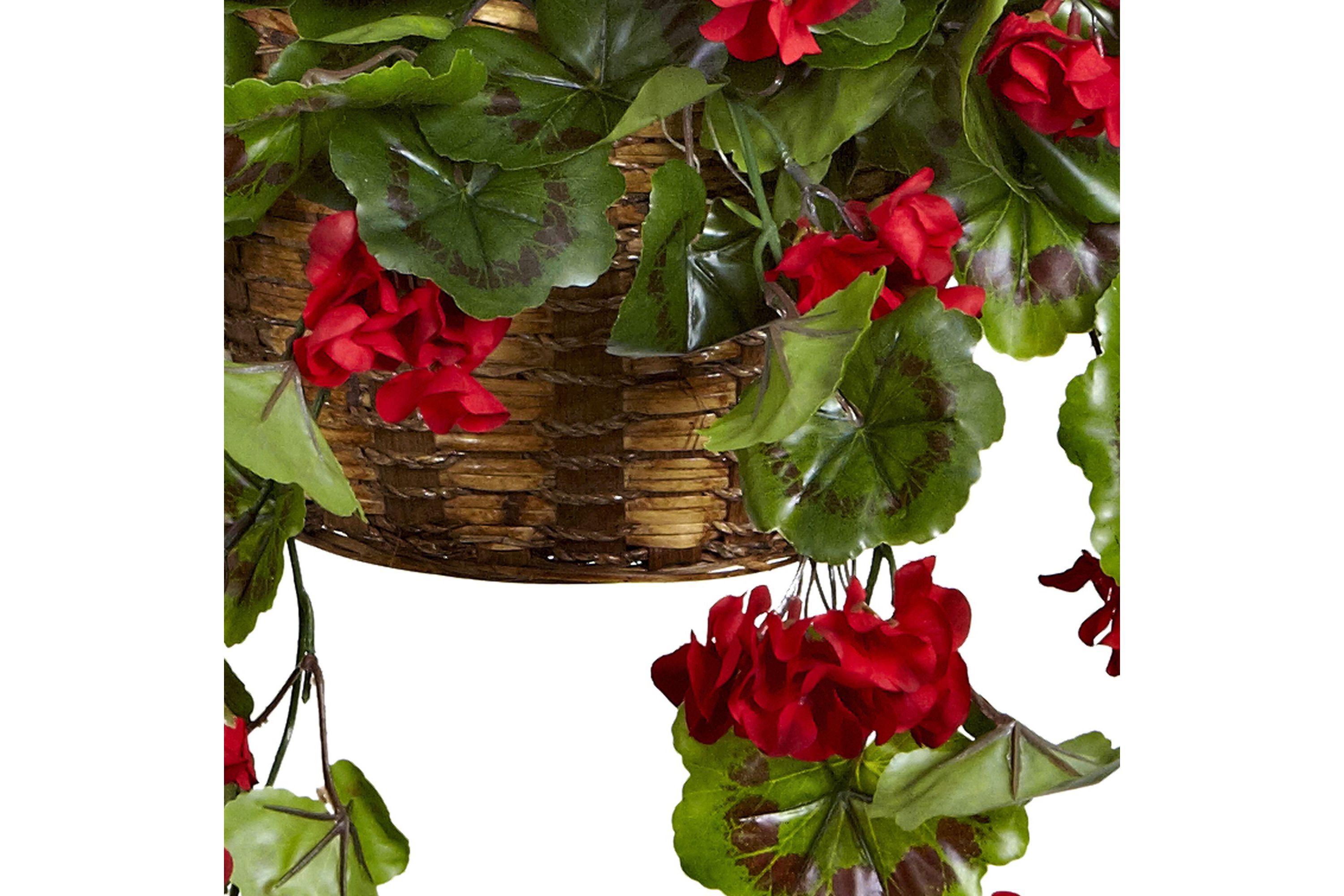 Geranium Hanging Basket UV Resistant (Indoor/Outdoor)
