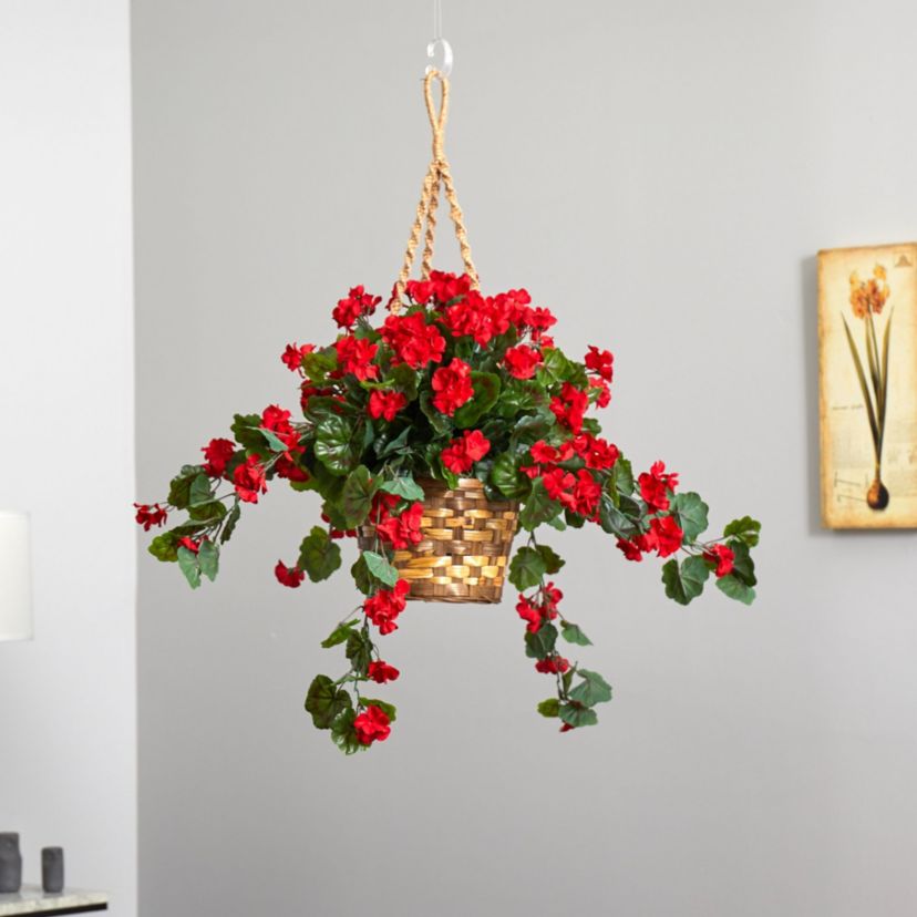 Geranium Hanging Basket UV Resistant (Indoor/Outdoor)