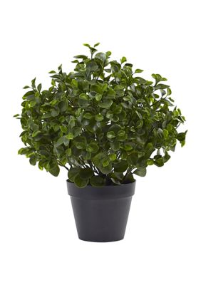 Nearly Natural Peperomia Plant Indoor/Outdoor, Green