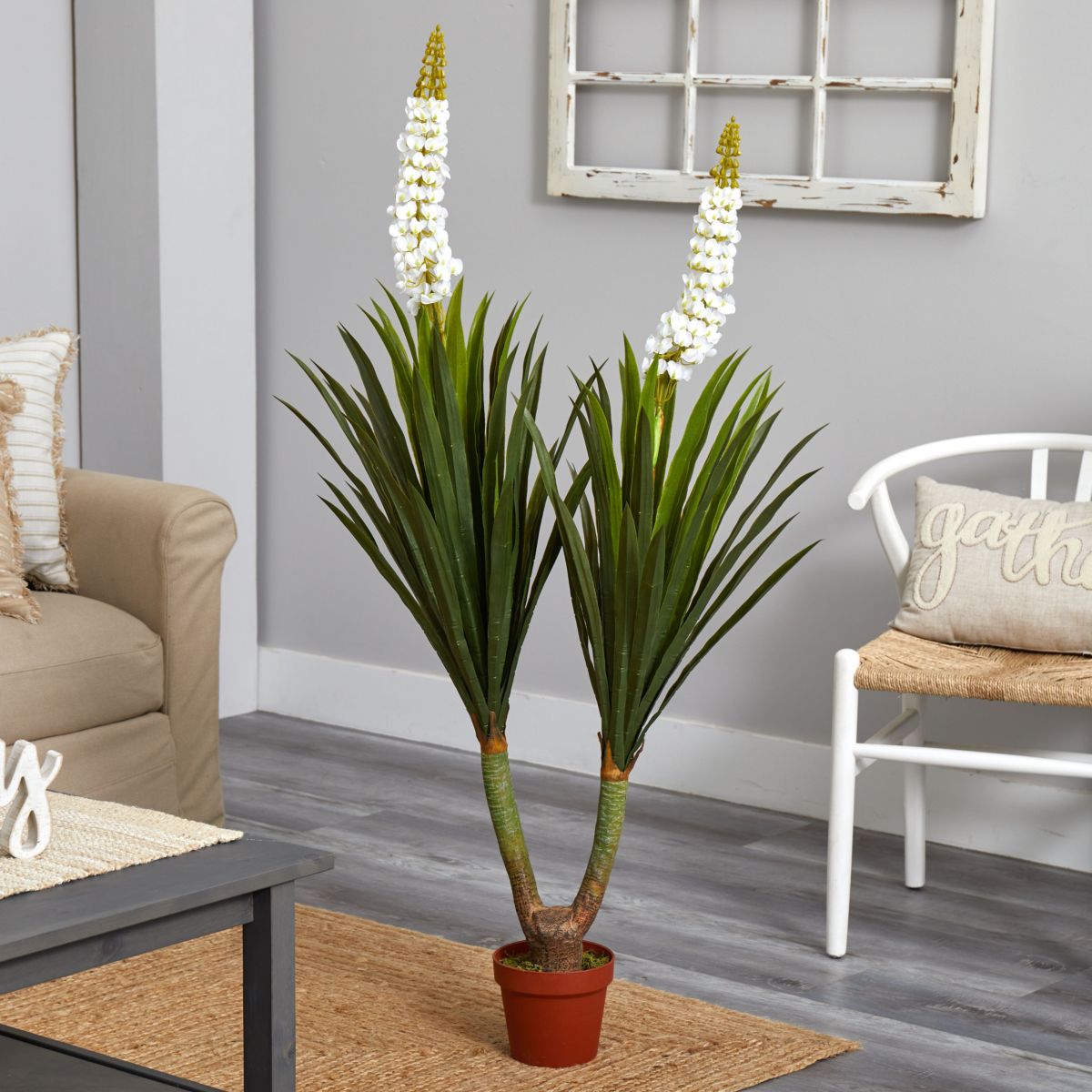 57-Inch Flowering Yucca Plant