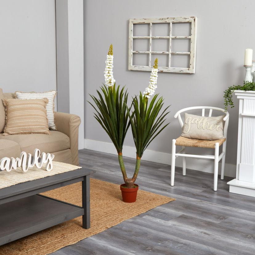 57-Inch Flowering Yucca Plant