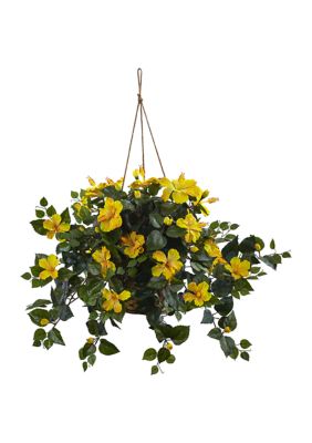 Hibiscus Hanging Basket