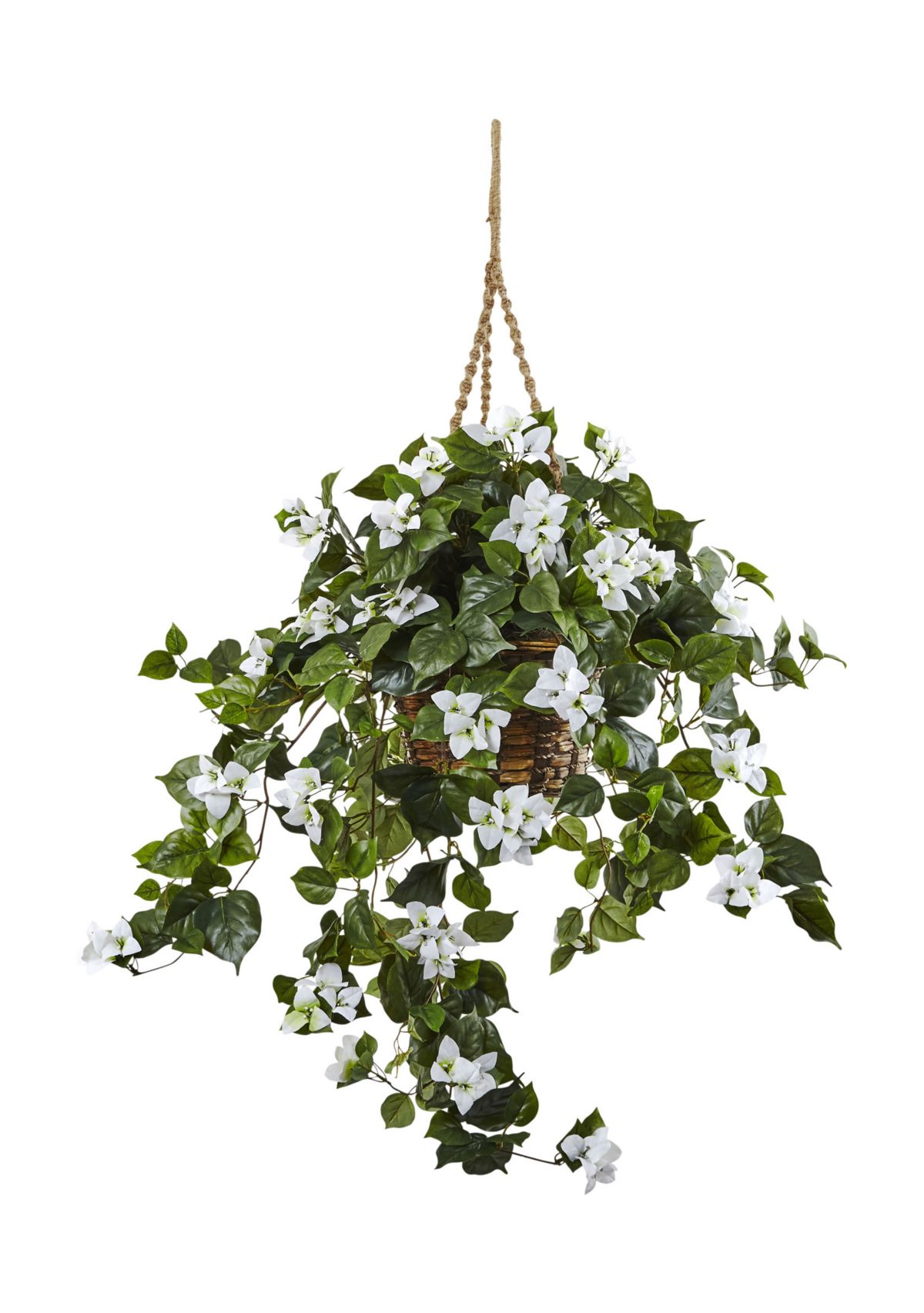 Bougainvillea Hanging Basket