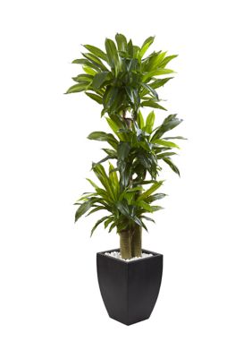 Nearly Natural Corn Stalk Dracaena with Wash Planter, Green