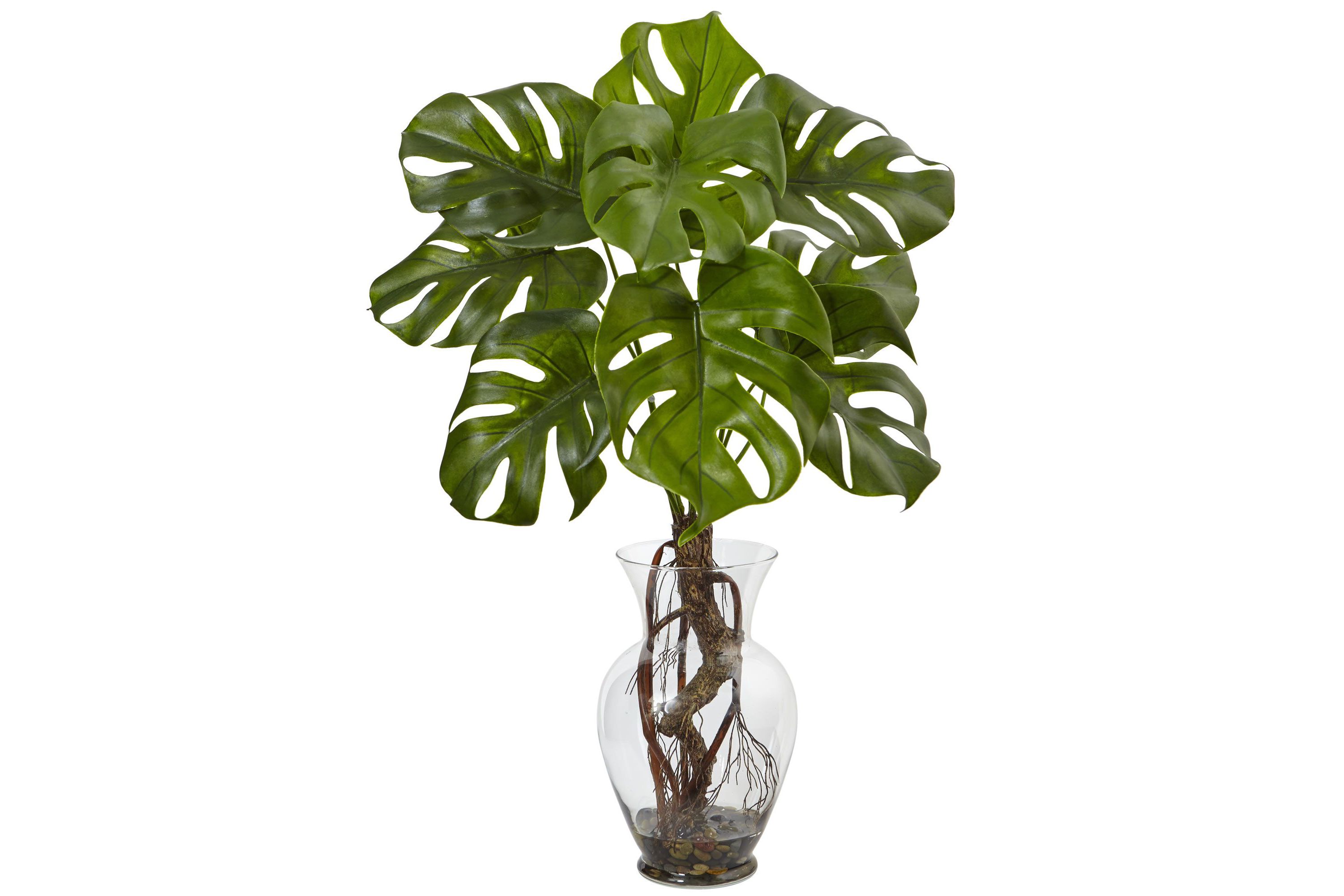 26-Inch Monstera Plant in Rocks with Glass Vase