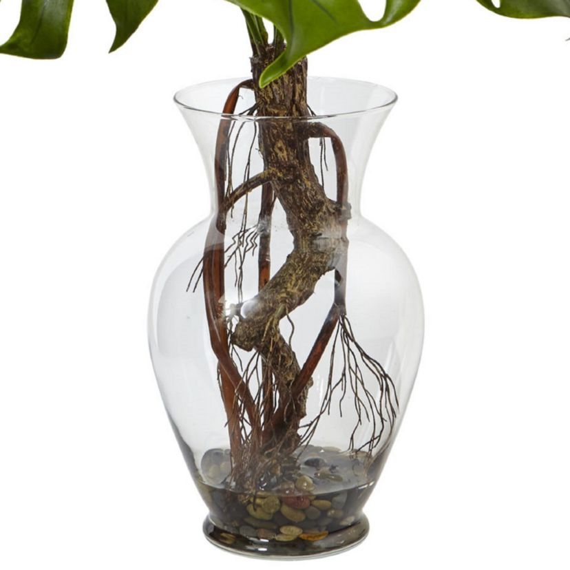 26-Inch Monstera Plant in Rocks with Glass Vase