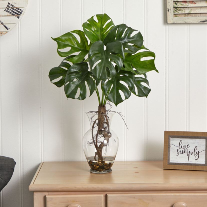 26-Inch Monstera Plant in Rocks with Glass Vase
