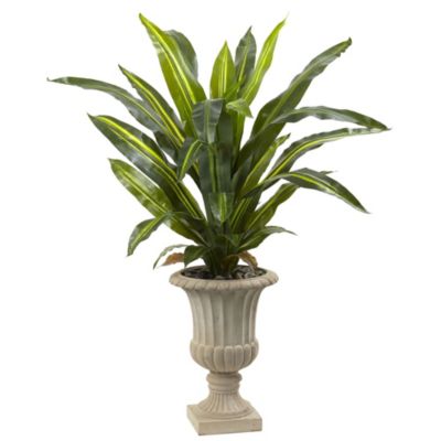 5-Foot Dracaena Plant with Urn (Real Touch)