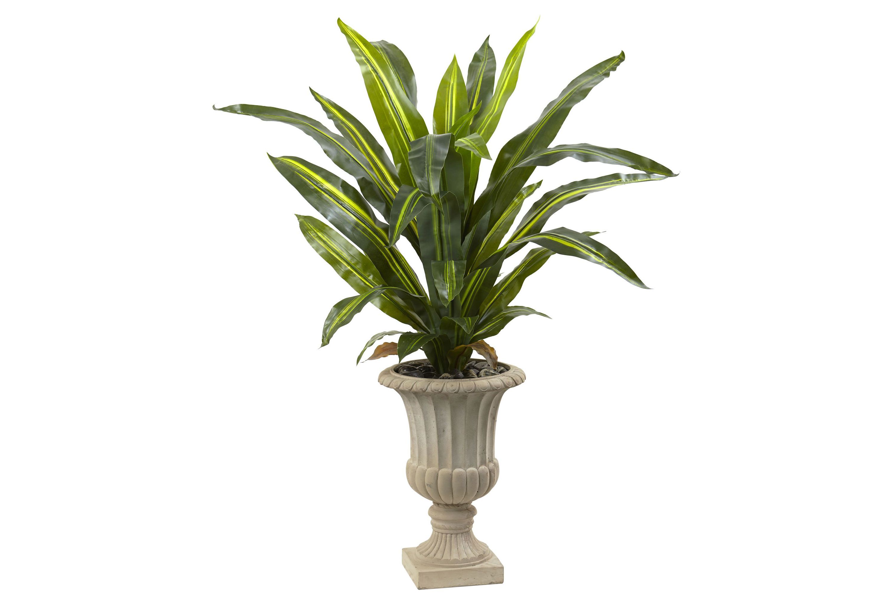5-Foot Dracaena Plant with Urn (Real Touch)