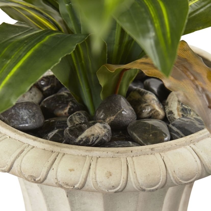 5-Foot Dracaena Plant with Urn (Real Touch)