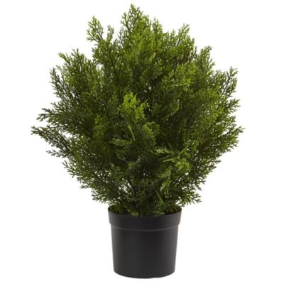 Nearly Natural 2-Foot Cedar Artificial Bush (Indoor/Outdoor)