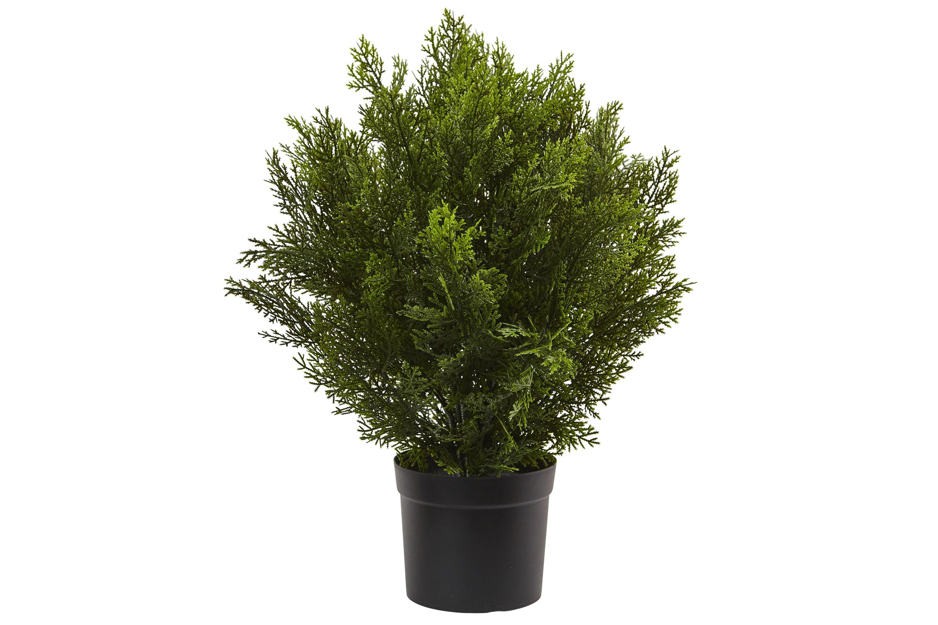 2-Foot Cedar Artificial Bush (Indoor/Outdoor)