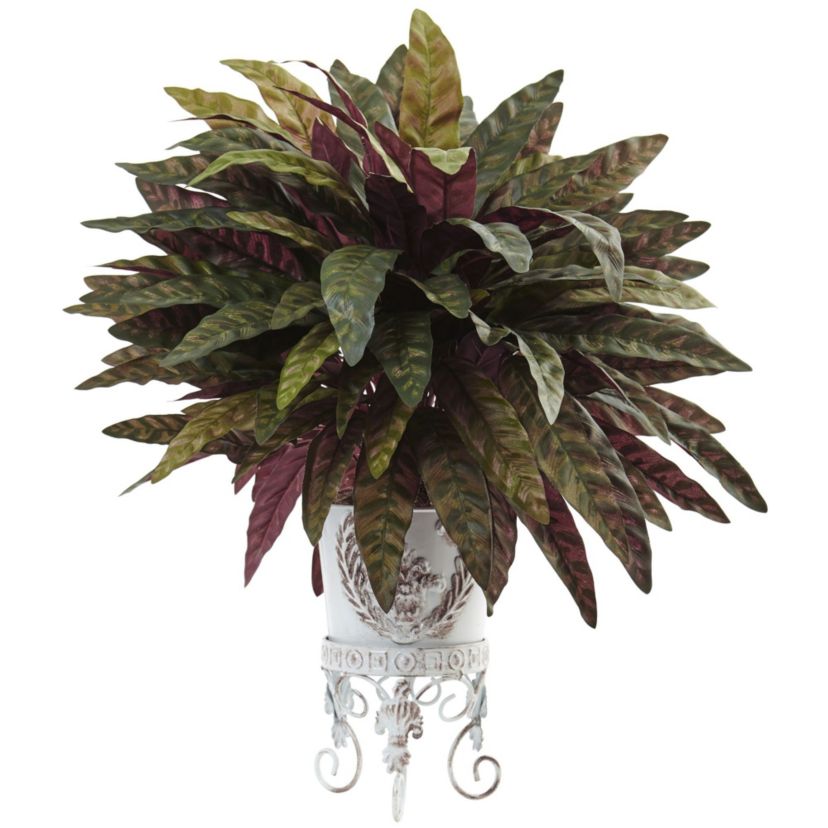 2-Foot Peacock Bush with Metal Planter