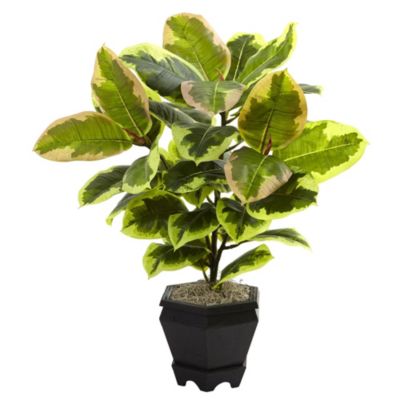 22-Inch Variegated Rubber Leaf Plant with Wood Planter
