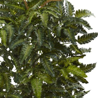 33-Inch Bracken Fern with Decorative Planter