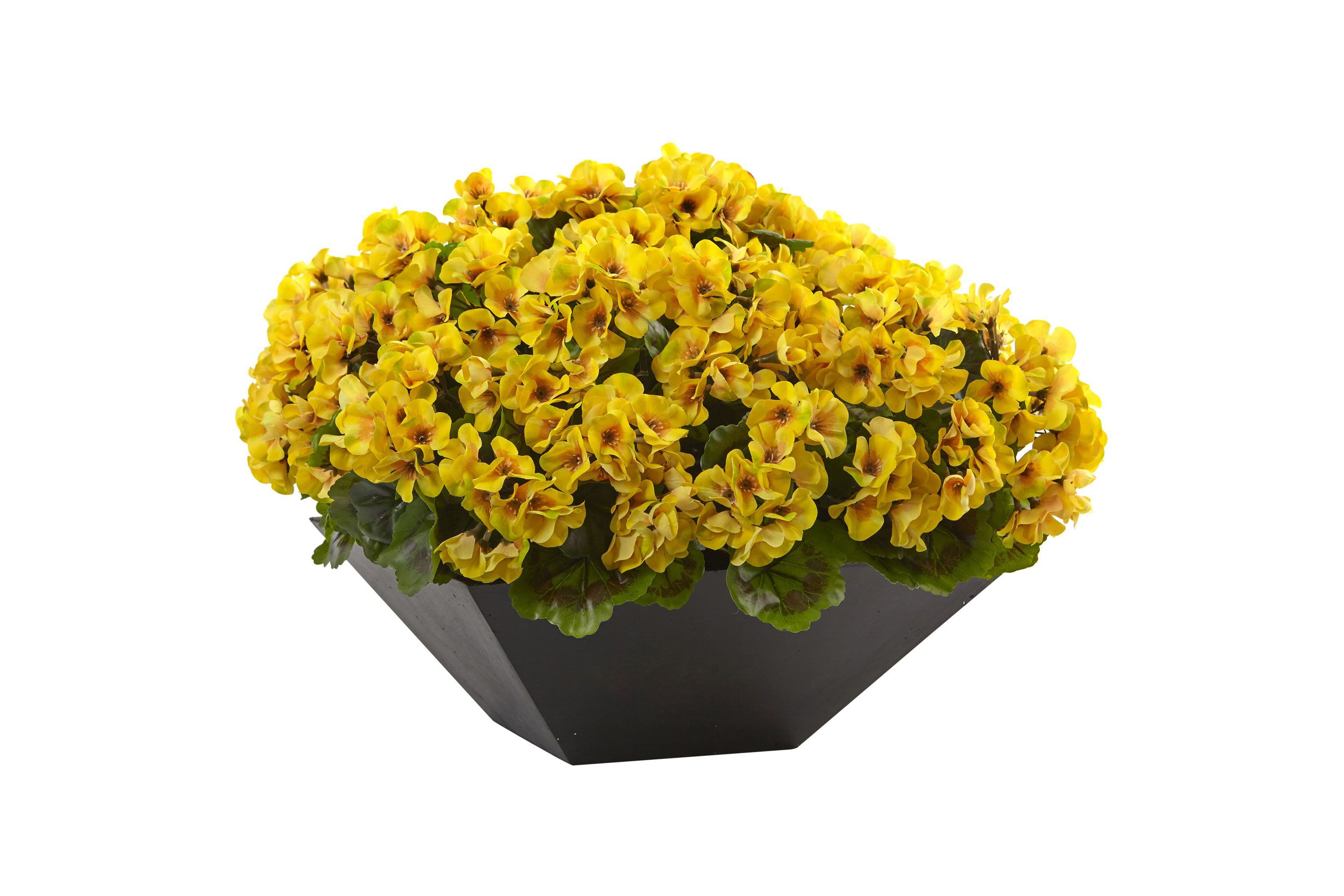 15-Inch Geranium with Black Planter UV Resistant (Indoor/Outdoor)