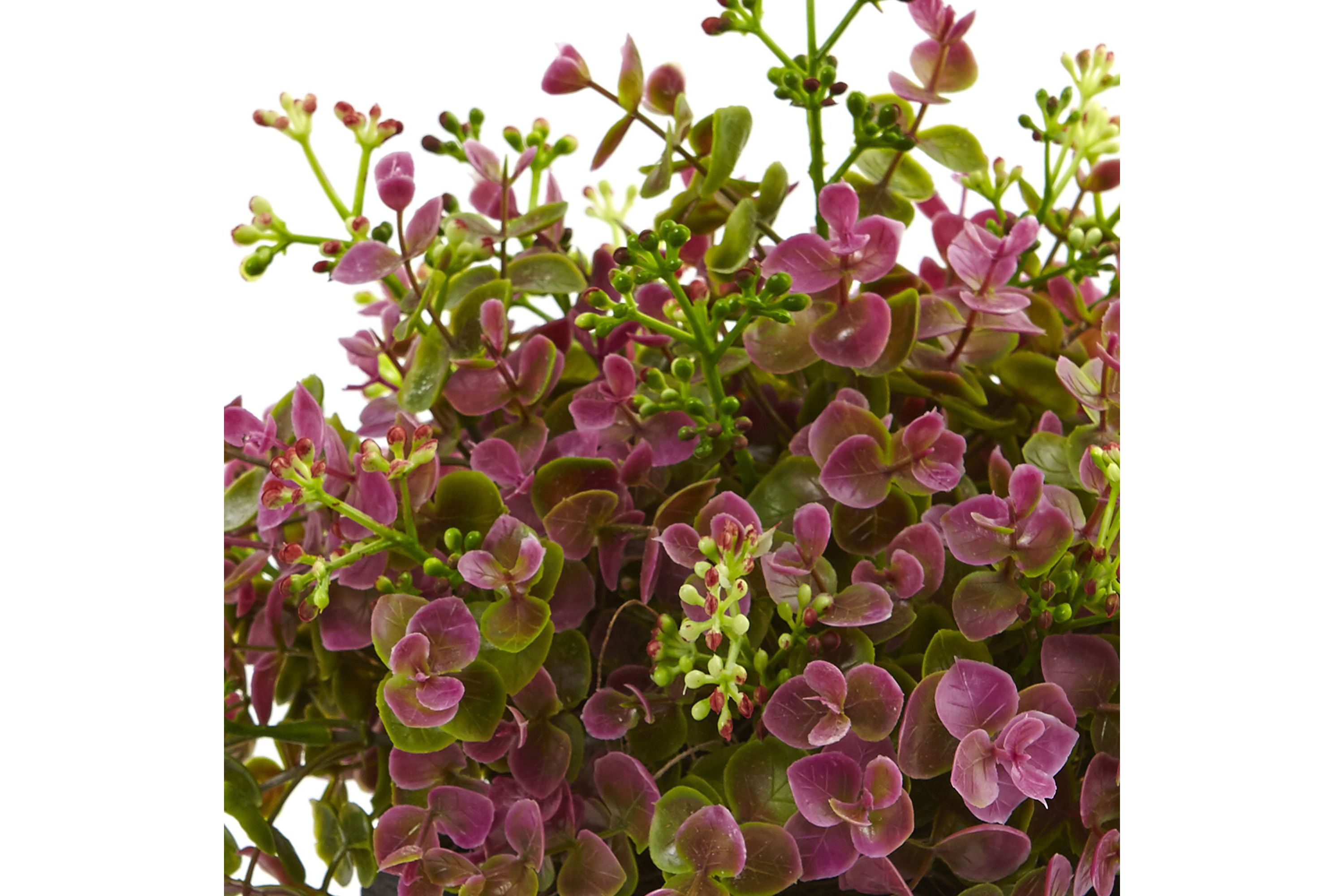 13-Inch Sedum and Eucalyptus Plant with Planter