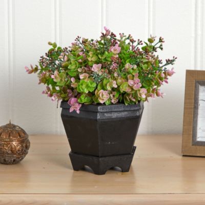 13-Inch Sedum and Eucalyptus Plant with Planter