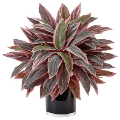 Caladium Artificial Plant in Black Glossy Planter