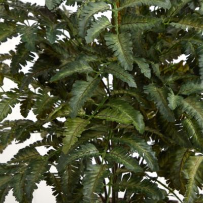 Bracken Artificial Fern in Wooden Planter