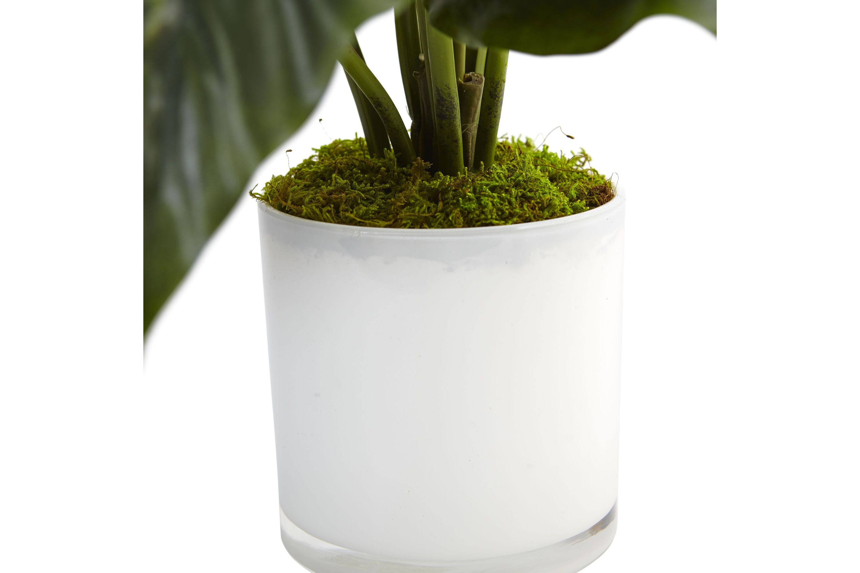 Spathiphyllum Artificial Flowering Peace Lily in Glossy Glass Planter