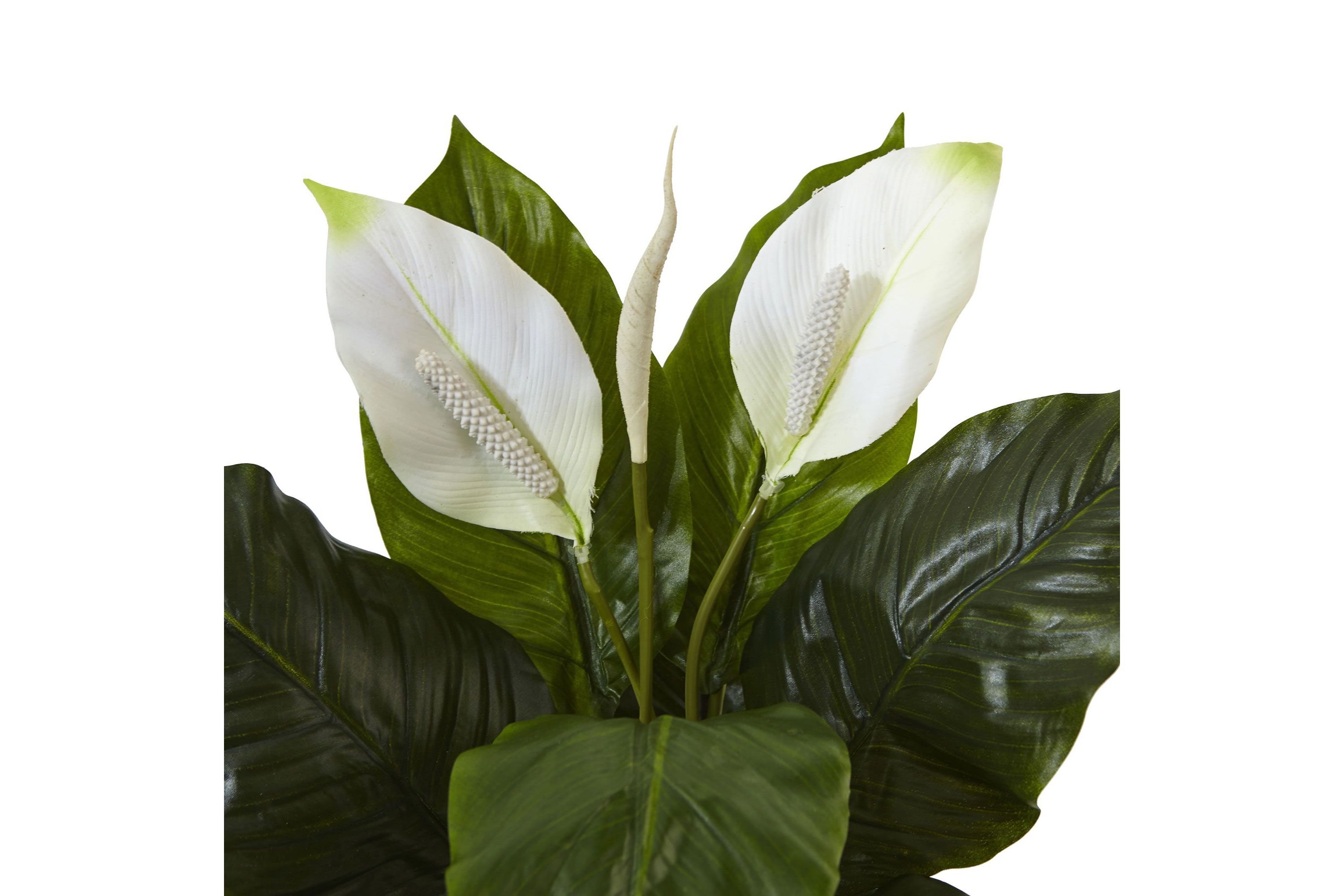 Spathiphyllum Artificial Flowering Peace Lily in Glossy Glass Planter