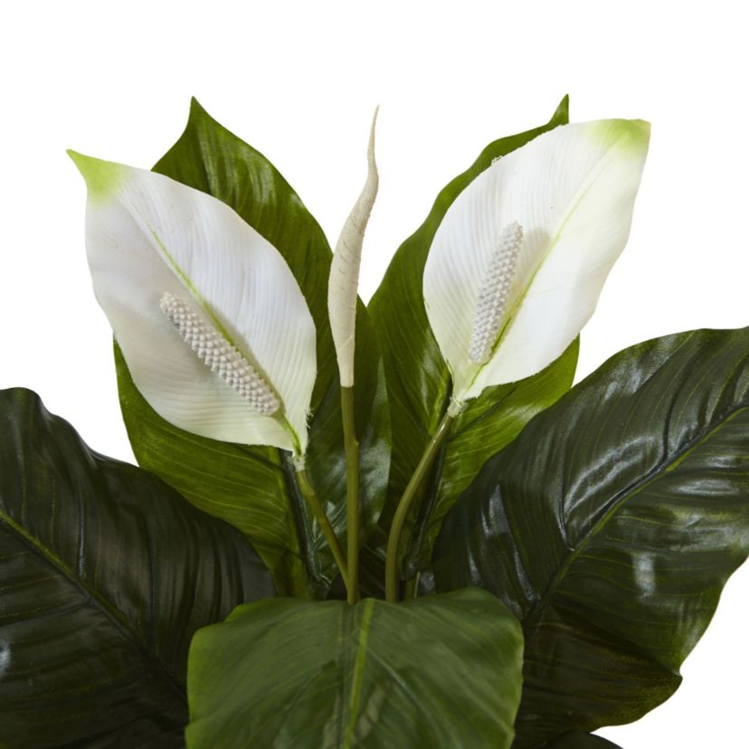 Spathiphyllum Artificial Flowering Peace Lily in Glossy Glass Planter