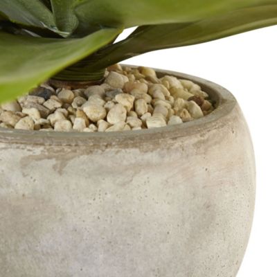 24-Inch Agave Artificial Plant in Sand Colored Bowl