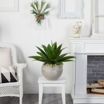 24-Inch Agave Artificial Plant in Sand Colored Bowl