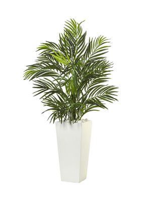 Areca Palm in Square Planter