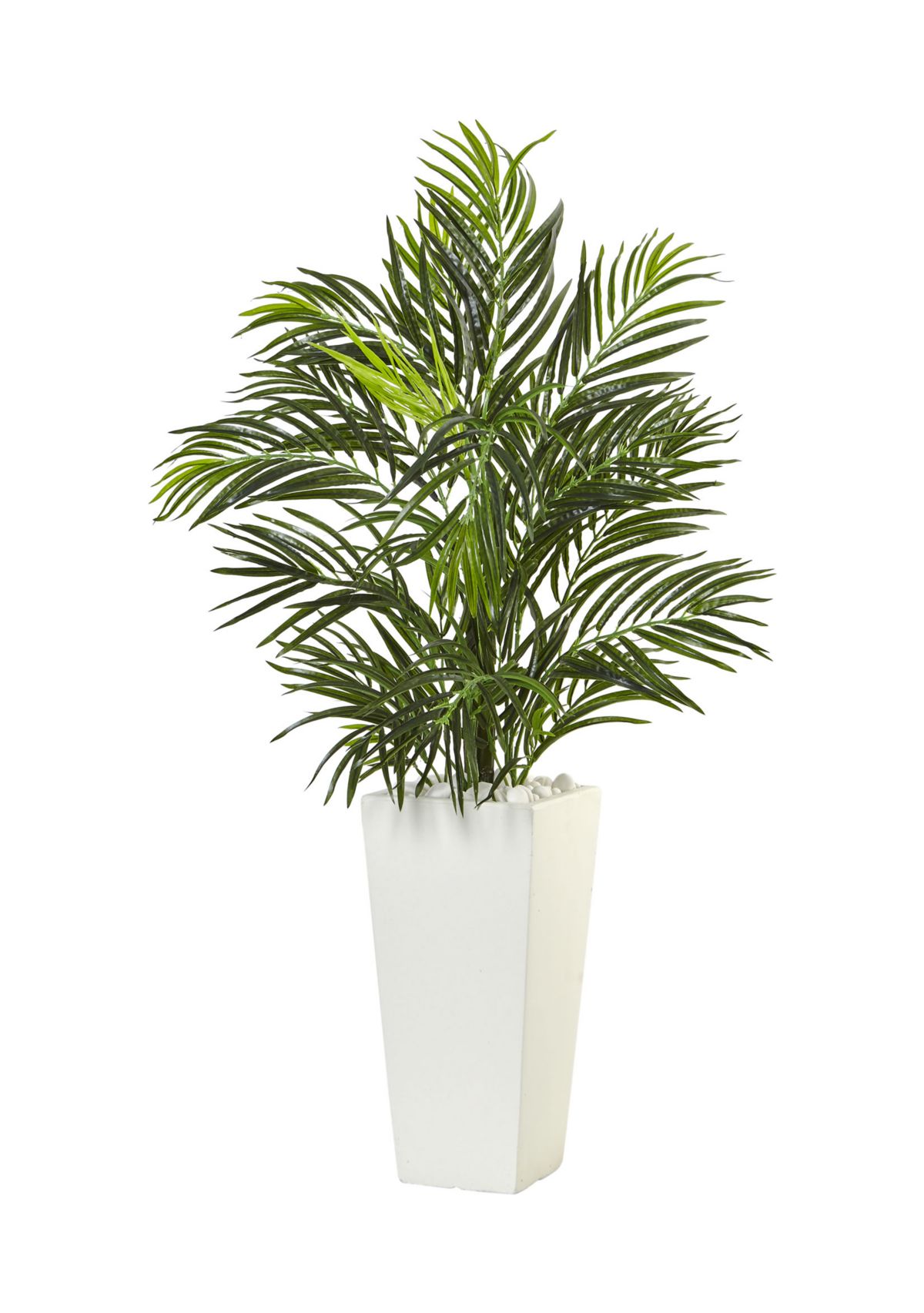 Areca Palm in Square Planter