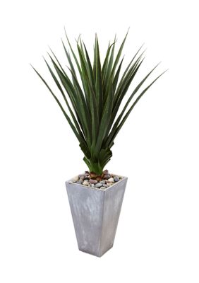 Spiked Agave in Cement Planter Indoor/Outdoor